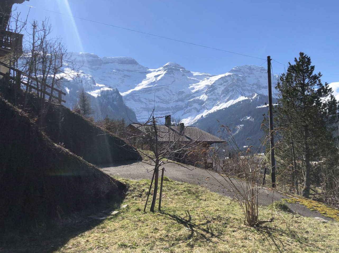 Alps Chalet Glacier view
